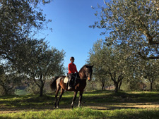 Italy-Tuscany-Dressage and Trail in Tuscany